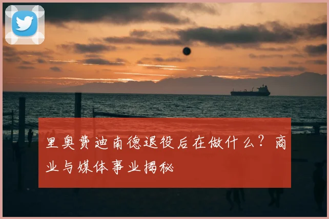 里奥费迪南德退役后在做什么？商业与媒体事业揭秘
