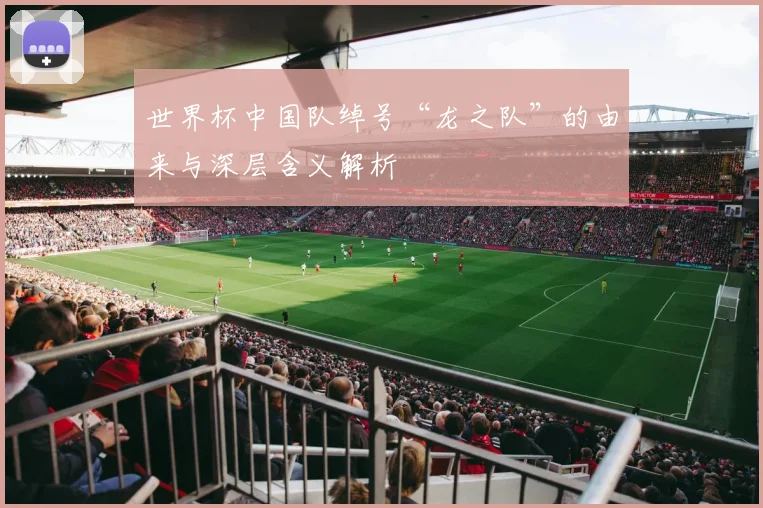 世界杯中国队绰号“龙之队”的由来与深层含义解析