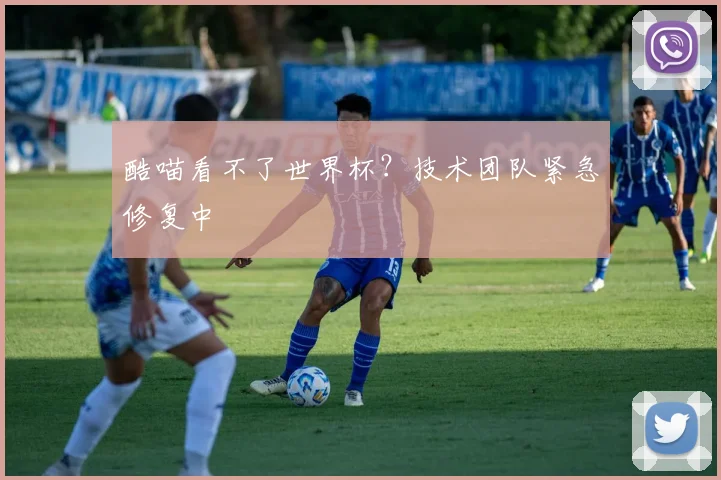 酷喵看不了世界杯？技术团队紧急修复中