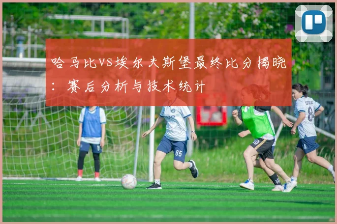 哈马比vs埃尔夫斯堡最终比分揭晓：赛后分析与技术统计