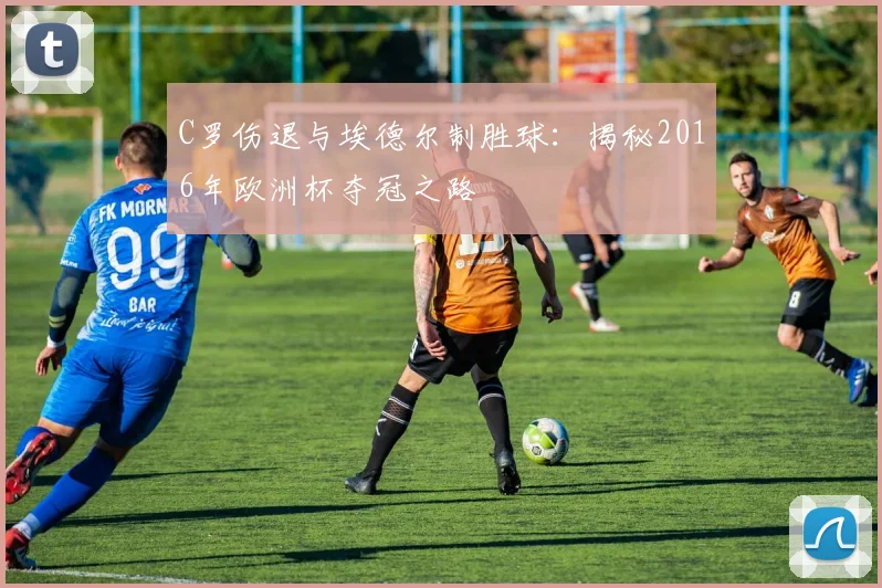 C罗伤退与埃德尔制胜球：揭秘2016年欧洲杯夺冠之路